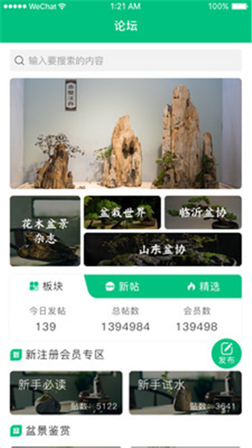 盆景世界