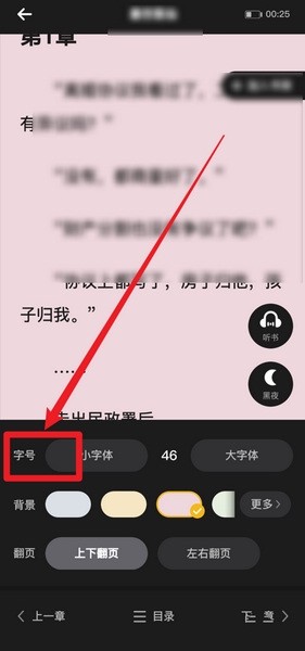 松鼠阅读app大字体设置Hướng dẫn图片3