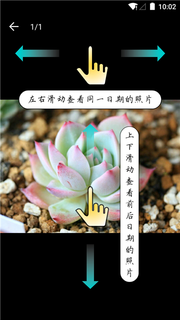 多肉成长记Điện thoại di động版