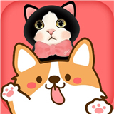 人狗猫giao流器