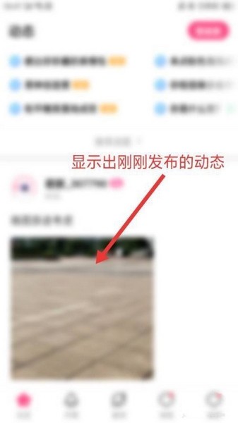 皮皮蟹Phát hành动态流程图片4