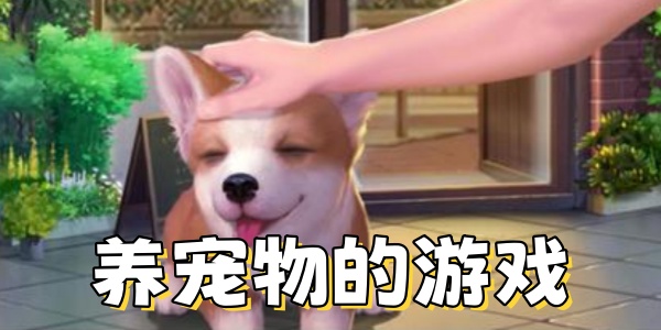 养宠物的Trò chơi